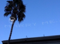 Love is in the sky