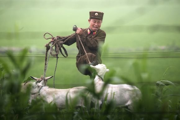 A peek into the isolated lives of North Koreans