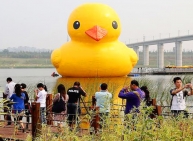 Huge Rubber Duck
