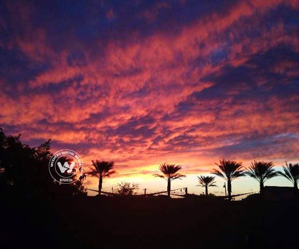 Stunning Arizona Sunsets