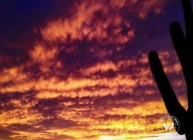 Stunning Arizona Sunsets