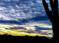 Beautiful sunsets in Arizona