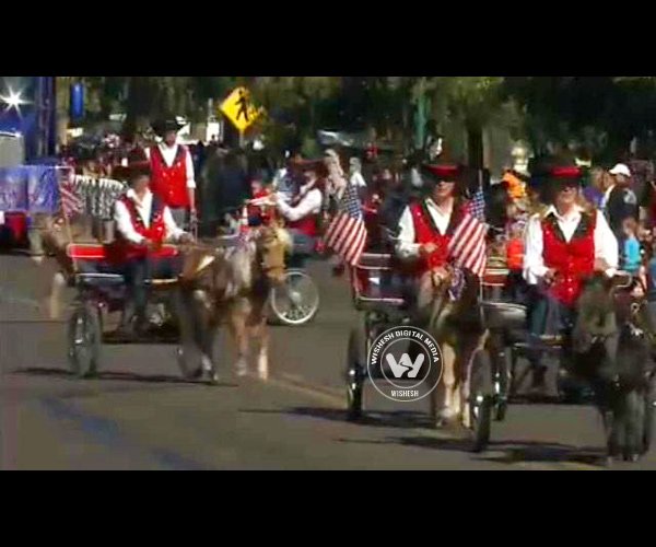 Veterans Day Parade in Phoenix, 2013