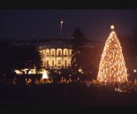 World's Most Amazing Christmas Trees