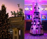 World's Most Amazing Christmas Trees