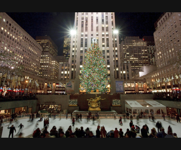 World's Most Amazing Christmas Trees