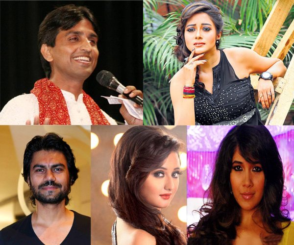 Bigg Boss Season 8 contestants