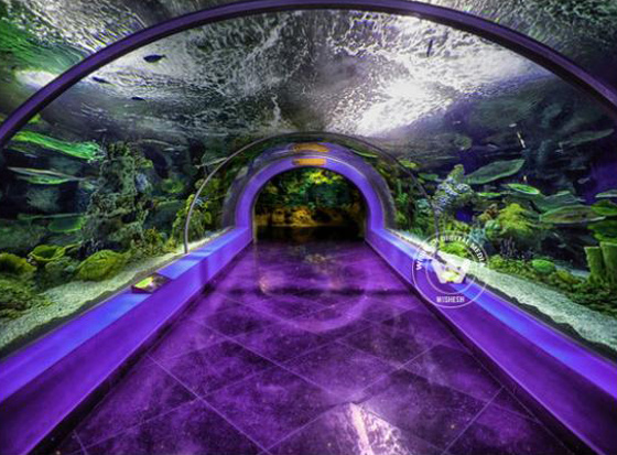 Explore Underwater world at Fakieh Aquarium