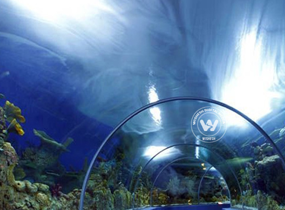 Explore Underwater world at Fakieh Aquarium