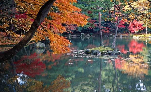 800px-KyotoAutumn