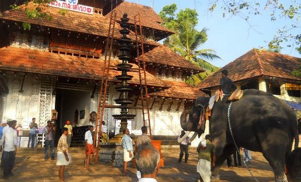 thrissur-pooram-23
