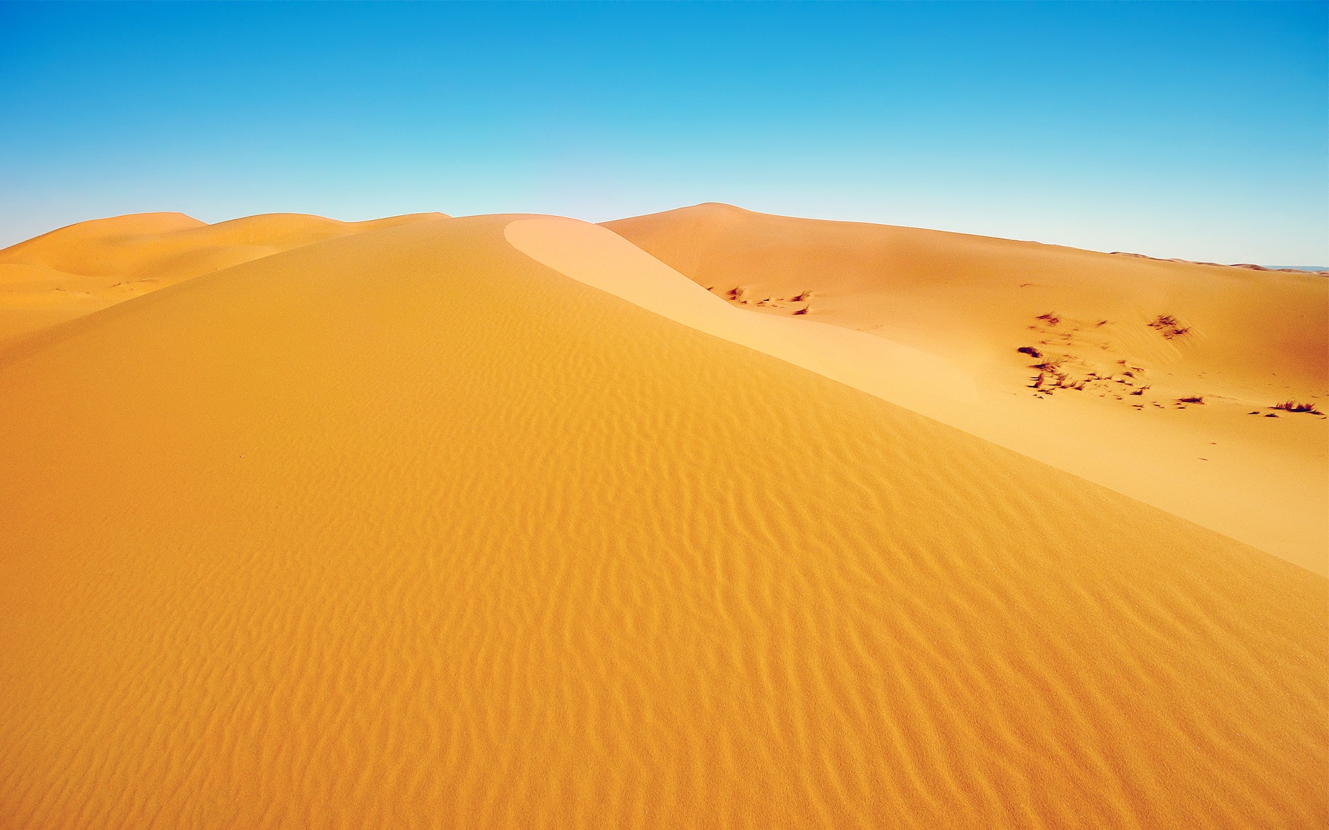 Wallpaper 1of 1 | african_desert-1920x1200 |  | 