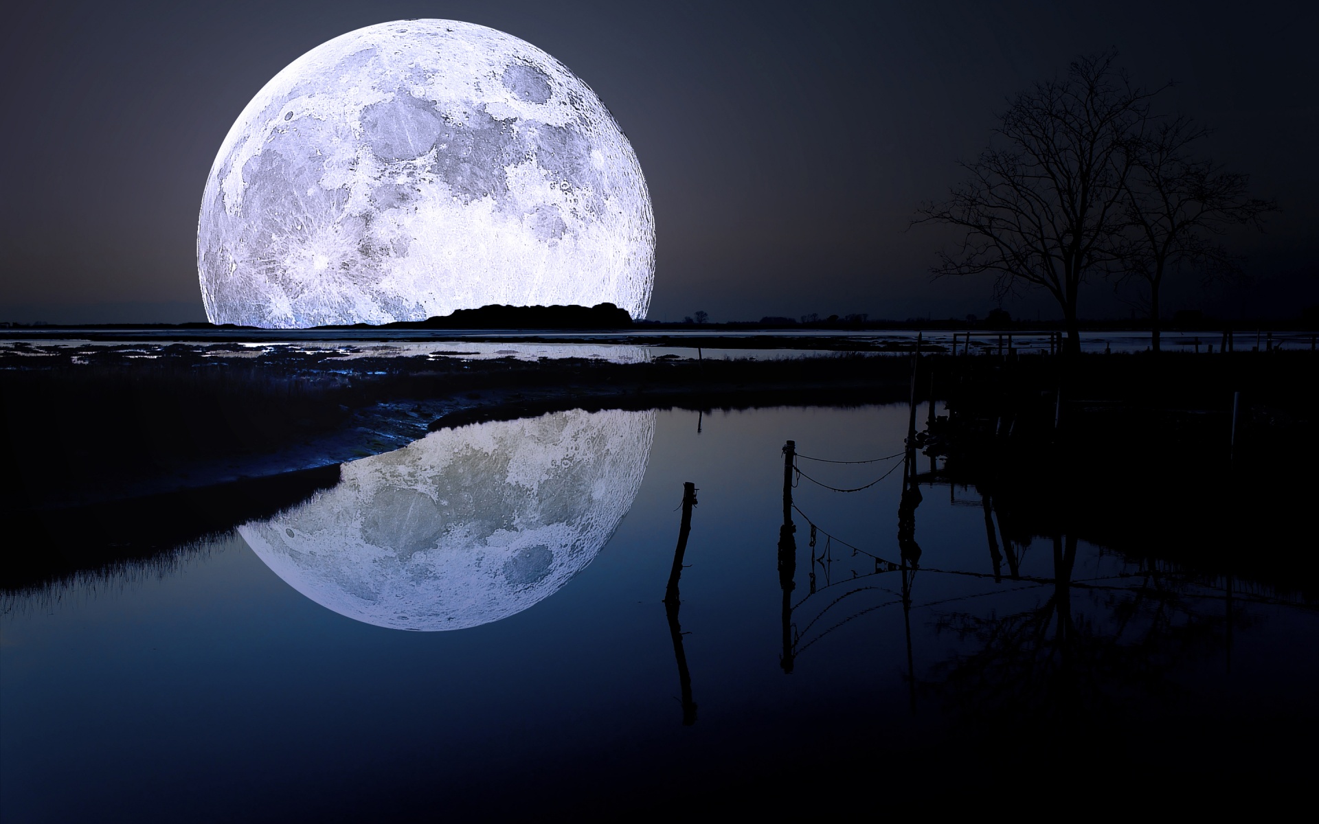 full_moon-1920x1200 |  |  | Wallpaper 1of 1