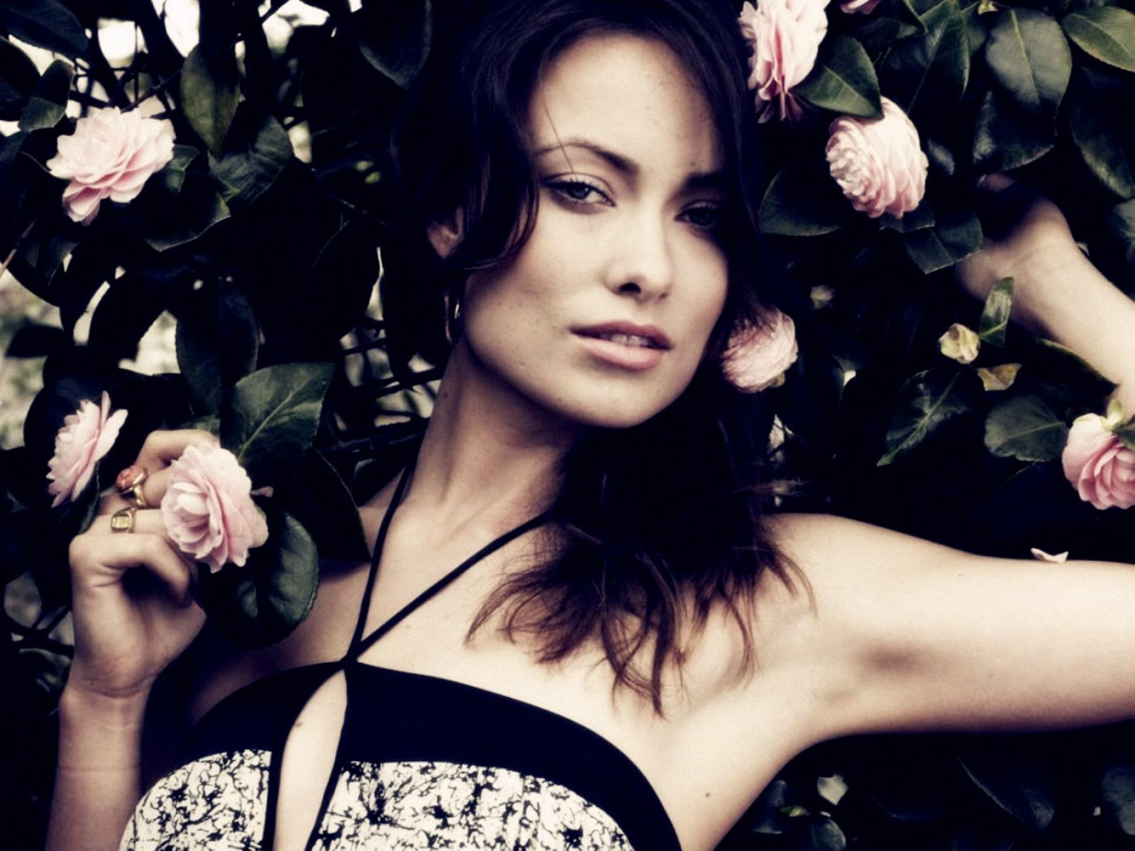 Olivia Wilde Hot Pictures | Wallpaper 4of 14 | Olivia Wilde Hot Gallery | Olivia Wilde