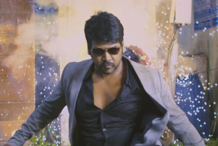 /media/k2/galleries/61294/shivalinga-tel-g06