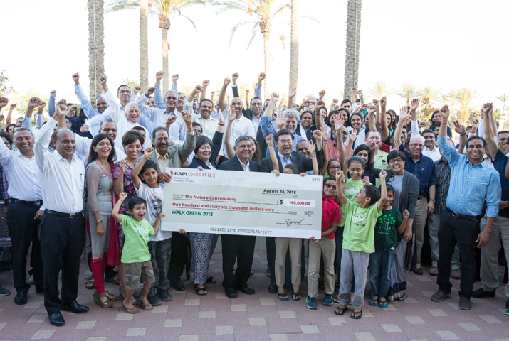 /media/k2/galleries/67494/BAPS-Charities-Walk-Green1