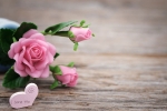 gift ideas for parents who live far away, Mother’s day, 8 ways to send love to your mom on mother s day even when you are away from home, Mothers day