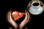 Hepatic Cancer treatment, Coffee in protecting Livers, coffee consumption helps in protecting boozers livers, Memory problems Hepatic Cancer treatment, Coffee in protecting Livers, coffee consumption helps in protecting boozers livers, Memory problems