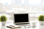 ecology, balanced environment, a plant in your office can help in preventing sick days says experts, Figs