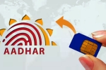 Chandigarh woman cyber fraud, Chandigarh woman 80 lakhs, chandigarh woman loses rs 80 lakh in aadhaar sim link scam, Cyber crime