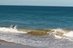 Singapore, Indian-origin, indian origin world bank senior economist drowns at bali beach, Aakansha pande Singapore, Indian-origin, indian origin world bank senior economist drowns at bali beach, Aakansha pande