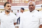 INDIA Bloc after Bihar Elections, INDIA Bloc after Bihar Elections, after bihar defeat rifts deepen in india bloc, Aap leaders INDIA Bloc after Bihar Elections, INDIA Bloc after Bihar Elections, after bihar defeat rifts deepen in india bloc, Aap leaders