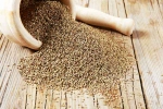 Carom Seeds, Ajwain breaking, benefits of adding carom seeds to your diet, Indian cuisine