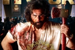 Animal Movie, Sandeep Reddy Vanga, animal stands strong on monday despite drop, Animal movie