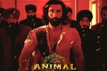 Animal nominations, Animal for Filmfare, record breaking nominations for animal, Animal movie