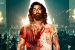 Animal collections first day, Animal collections Tamil, ranbir kapoor s animal opens on a strong note, Animal movie