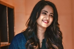 Anushka new movie, Anushka new movie, anushka back to shoot, Naveen polishetty Anushka new movie, Anushka new movie, anushka back to shoot, Naveen polishetty