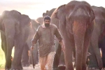 Aranya​ movie rating, Aranya​ telugu movie review, aranya movie review rating story cast and crew, B m kutty