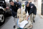 India, Kumar, 10 000 major artworks stolen from indian temples every decade expert, International destinations