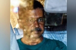 Arvind Kejriwal breaking updates, Arvind Kejriwal breaking news, arvind kejriwal moves court for bail, Cbi probe Arvind Kejriwal breaking updates, Arvind Kejriwal breaking news, arvind kejriwal moves court for bail, Cbi probe