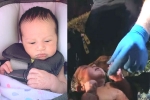 baby india found in plastic bag in georgia, baby found in wooden area in georgia, over 1000 people steps forward to adopt baby india found in plastic bag in georgia, Freeman