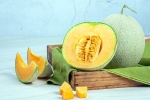 Muskmelon Seeds study benefits, Muskmelon Seeds health benefits, health benefits of muskmelon seeds, Oestrogen