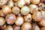 Black Fungus on Onions for health, Black Fungus on Onions for health, black fungus on onions sparks discussion, Bathroom Black Fungus on Onions for health, Black Fungus on Onions for health, black fungus on onions sparks discussion, Bathroom