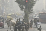 air quality in Delhi, air pollution in Delhi, blanket of smog covers delhi as air pollution worsens, Dhyan chand