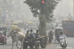 Delhi-NCR, Delhi air quality, blanket of smog covers delhi as air pollution worsens, Delhi air pollution