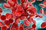 Blood Forming Stem Cells, Stem Cells, scientists generate blood forming stem cells, Stem cells