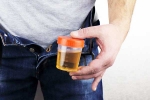 Hidden Kidney Cancer Risks new tips, Hidden Kidney Cancer Risks latest, spotting blood in urine can reveal hidden kidney cancer risks, Urinary tract infection Hidden Kidney Cancer Risks new tips, Hidden Kidney Cancer Risks latest, spotting blood in urine can reveal hidden kidney cancer risks, Urinary tract infection
