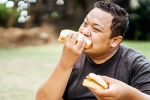 Bread for weightloss benefits, Bread for weightloss for health, will bread help in weightloss, Peanut butter Bread for weightloss benefits, Bread for weightloss for health, will bread help in weightloss, Peanut butter