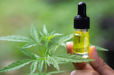 What is CBD oil that came up in the Sushant Singh Rajput's case investigation?