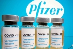 vaccine, vaccine, how and where you can get the covid 19 vaccine in connecticut, Biontech vaccine, vaccine, how and where you can get the covid 19 vaccine in connecticut, Biontech