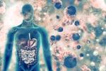 COVID-19, COVID-19, covid 19 can affect almost all organs experts at aiims, Thrombosis