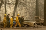 California Fire, California Fire, california fire mostly contained death toll rises to 84, Northern california