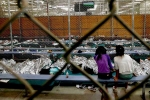 California, Indian detainees, thriving number of california detainees are indians, Old is gold