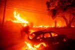 California Wildfire new updates, California Wildfire latest, california declares wildfire emergency, Hollywood