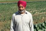 Sikh man used turban to save a girl, Canadian Sikh man saved a girl from drowning, canadian sikh man saved a girl with his turban, Canadian sikh Sikh man used turban to save a girl, Canadian Sikh man saved a girl from drowning, canadian sikh man saved a girl with his turban, Canadian sikh