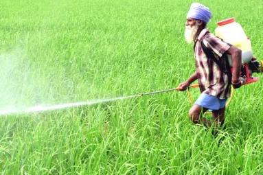 Centre Orders Immediate Procurement of Paddy/Rice in Punjab Amid Protests